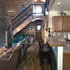 Mountain Cabin in Powderhorn, Colorado - image 19