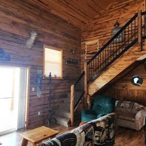 Mountain Cabin in Powderhorn, Colorado - image 20