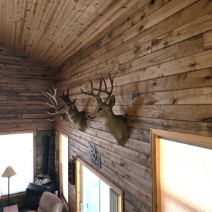 Mountain Cabin in Powderhorn, Colorado - image 22