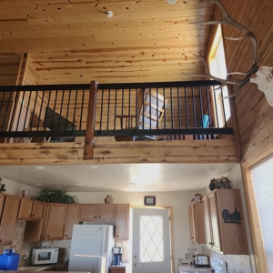 Mountain Cabin in Powderhorn, Colorado - image 16
