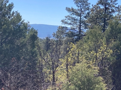 Beautiful Mountain Property Near Chama New Mexico - image 17