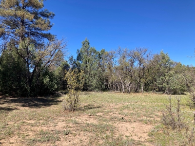 Beautiful Mountain Property Near Chama New Mexico - image 11