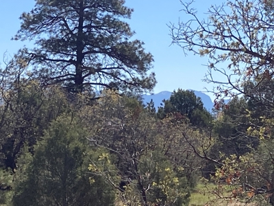 Beautiful Mountain Property Near Chama New Mexico - image 15