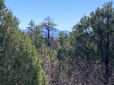 Beautiful Mountain Property Near Chama New Mexico - image 18