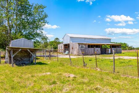 EQUINE PROPERTY SALE NORTH FLORIDA ON 15 ACRES - Wellborn,FL - image 7