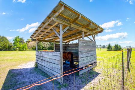 EQUINE PROPERTY SALE NORTH FLORIDA ON 15 ACRES - Wellborn,FL - image 14