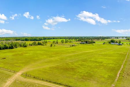 EQUINE PROPERTY SALE NORTH FLORIDA ON 15 ACRES - Wellborn,FL - image 31