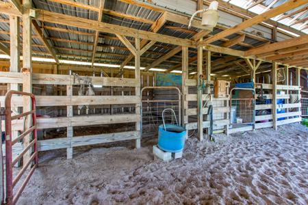 EQUINE PROPERTY SALE NORTH FLORIDA ON 15 ACRES - Wellborn,FL - image 12