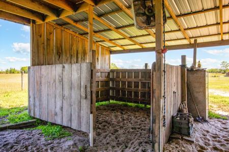 EQUINE PROPERTY SALE NORTH FLORIDA ON 15 ACRES - Wellborn,FL - image 11