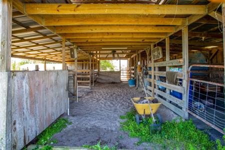 EQUINE PROPERTY SALE NORTH FLORIDA ON 15 ACRES - Wellborn,FL - image 9