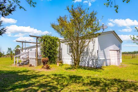 EQUINE PROPERTY SALE NORTH FLORIDA ON 15 ACRES - Wellborn,FL - image 3