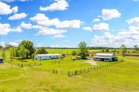 EQUINE PROPERTY SALE NORTH FLORIDA ON 15 ACRES - Wellborn,FL - image 33