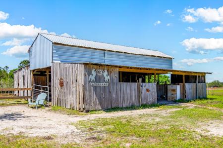 EQUINE PROPERTY SALE NORTH FLORIDA ON 15 ACRES - Wellborn,FL - image 13