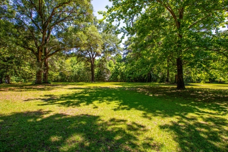 Home On The Santa Fe River, Union County, Florida - image 29