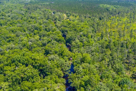 Home On The Santa Fe River, Union County, Florida - image 34