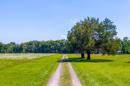 Home On The Santa Fe River, Union County, Florida - image 3