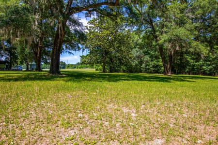 Home On The Santa Fe River, Union County, Florida - image 31