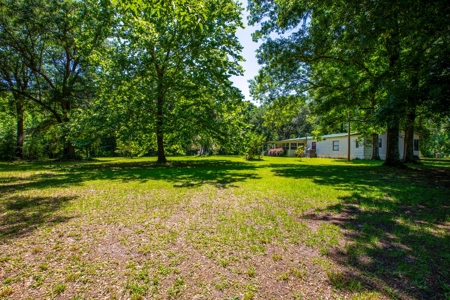 Home On The Santa Fe River, Union County, Florida - image 28