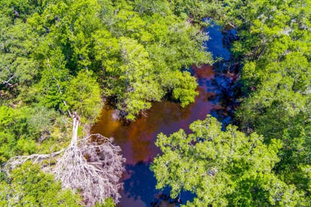 Home On The Santa Fe River, Union County, Florida - image 35