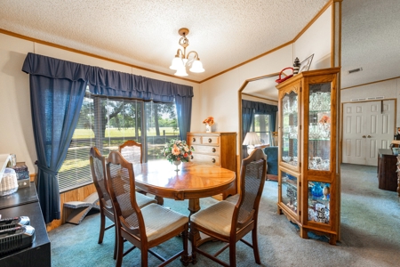 Home On The Santa Fe River, Union County, Florida - image 14