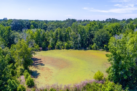 Home On The Santa Fe River, Union County, Florida - image 36