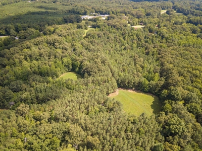 Land for Sale in Weakley County, TN with Marketable Timber - image 4