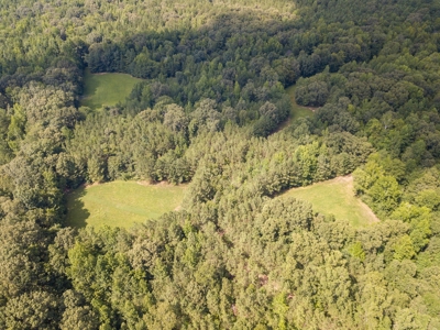 Land for Sale in Weakley County, TN with Marketable Timber - image 2