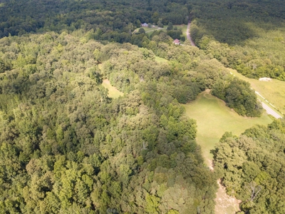 Land for Sale in Weakley County, TN with Marketable Timber - image 3