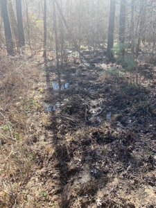 East Texas Recreational/Hunting Tract For Sale - image 7