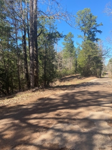 East Texas Recreational/Hunting Tract For Sale - image 11