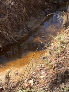 East Texas Recreational/Hunting Tract For Sale - image 3