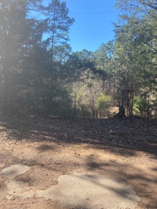 East Texas Recreational/Hunting Tract For Sale - image 13
