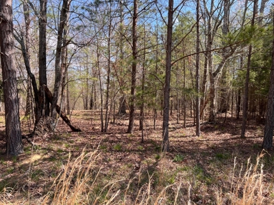 Tennessee Nature Resort Acreage - image 2
