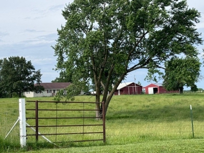 Country Home & 40 Acres For Sale Polo Mo - image 14