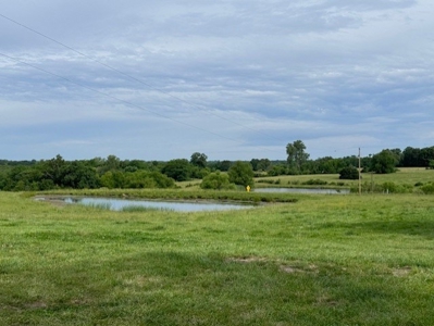 Country Home & 40 Acres For Sale Polo Mo - image 16