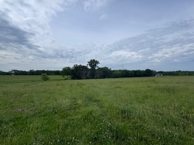 Country Home & 40 Acres For Sale Polo Mo - image 10