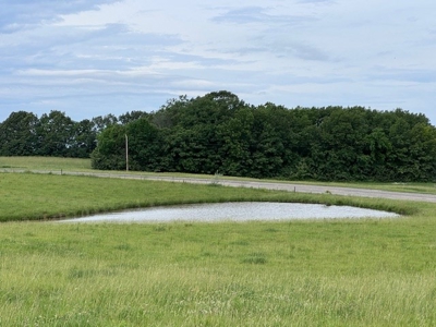 Country Home & 40 Acres For Sale Polo Mo - image 9