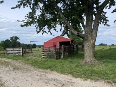 Country Home & 40 Acres For Sale Polo Mo - image 23