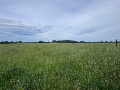 Country Home & 40 Acres For Sale Polo Mo - image 11