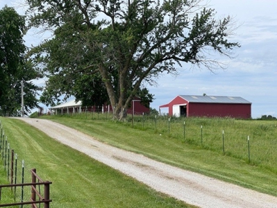 Country Home & 40 Acres For Sale Polo Mo - image 13