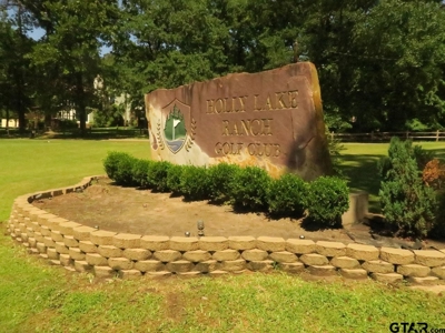 2Br-2Ba Holly Lake Ranch East Of Dallas Northeast Texas - image 42