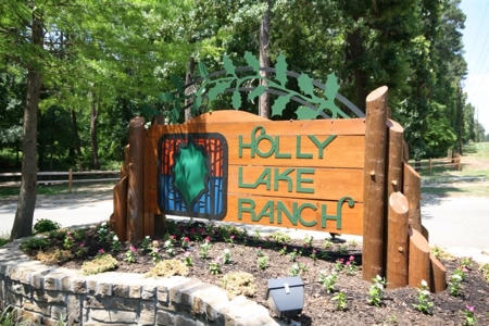 2Br-2Ba Holly Lake Ranch East Of Dallas Northeast Texas - image 47