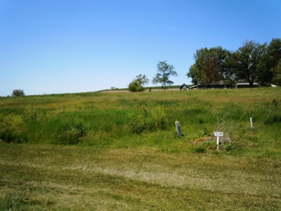 Land For Sale In Missouri Valley Iowa - image 4