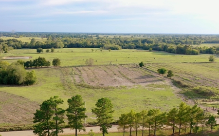 Farmland in SE Oklahoma Atoka - image 1