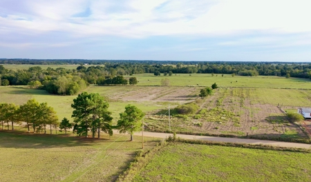 Farmland in SE Oklahoma Atoka - image 3
