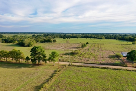 Farmland in SE Oklahoma Atoka - image 5
