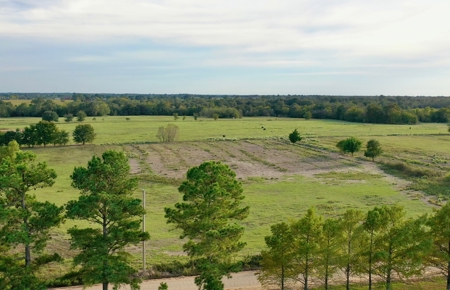 Farmland in SE Oklahoma Atoka - image 2