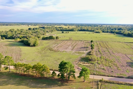 Farmland in SE Oklahoma Atoka - image 13