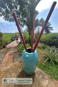 Luxury Lodge for Sale, Isla Solarte, Bocas del Toro, Panama - image 2