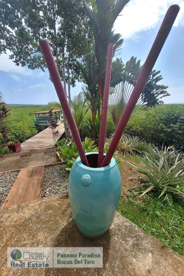 Luxury Lodge — Isla Solarte, Bocas del Toro - 12